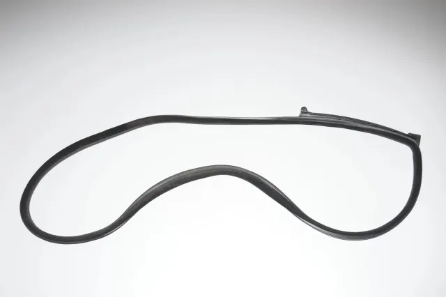 Rear Right Door Seal Rubber