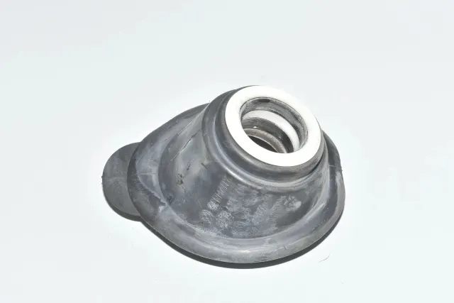Other Body Parts
