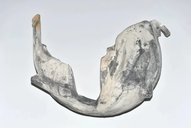 Rear Right Arch Liner