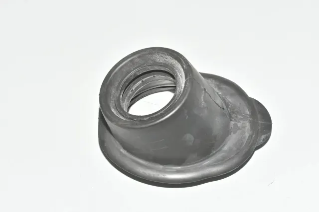 Other Body Parts