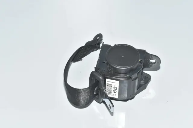 Rear Left Seatbelt