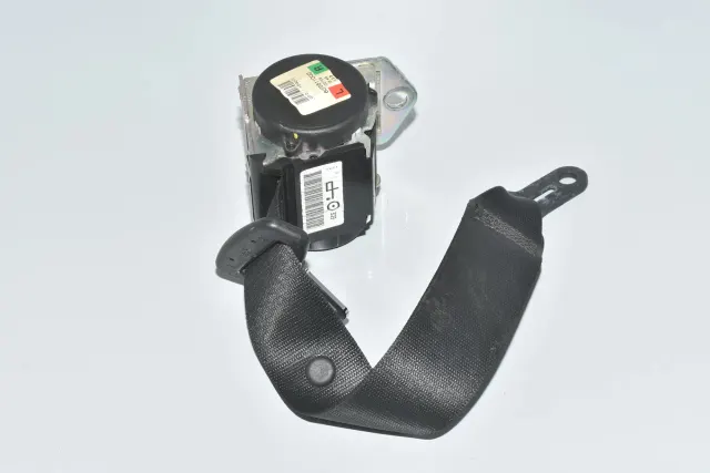 Rear Right Seatbelt