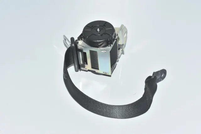 Rear Left Seatbelt