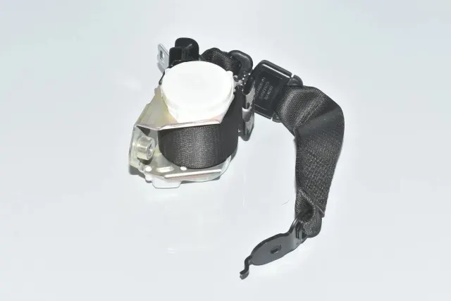 Rear Middle Seatbelt