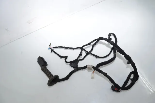 Rear Left Door Wiring