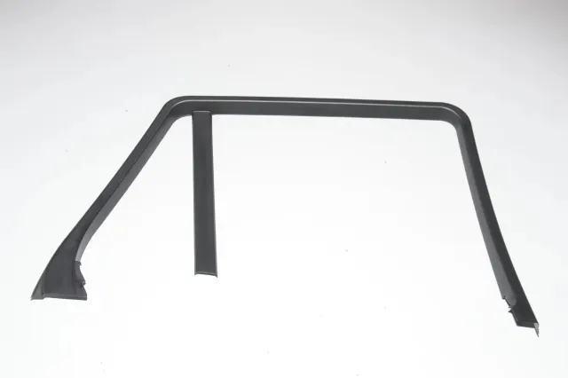 Rear Left Door Panel