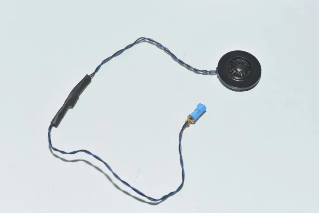 Rear Left Door Speaker