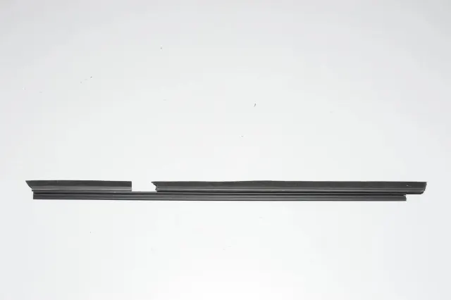 Rear Left Door Window Strip