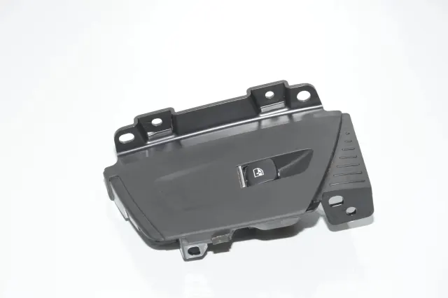 Rear Left Door Window Switch