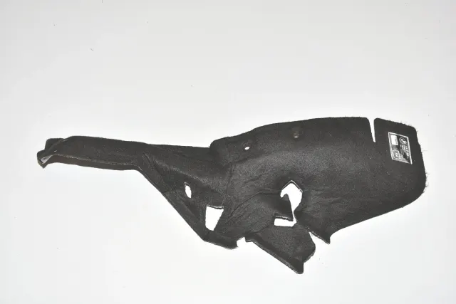 Other Body Parts