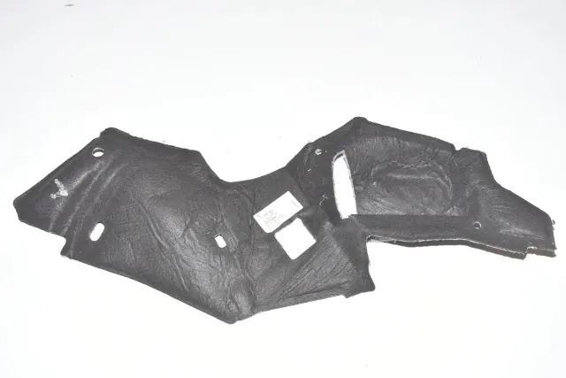 Other Body Parts
