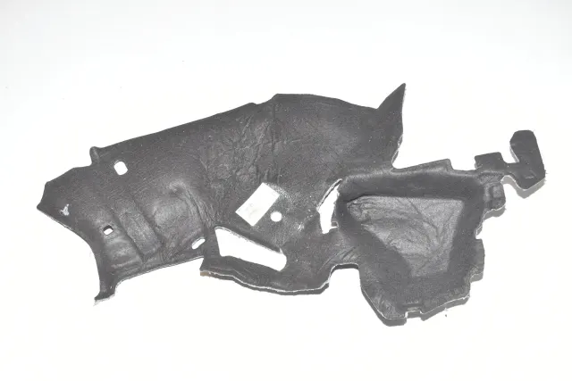 Other Body Parts