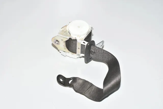 Rear Right Seatbelt