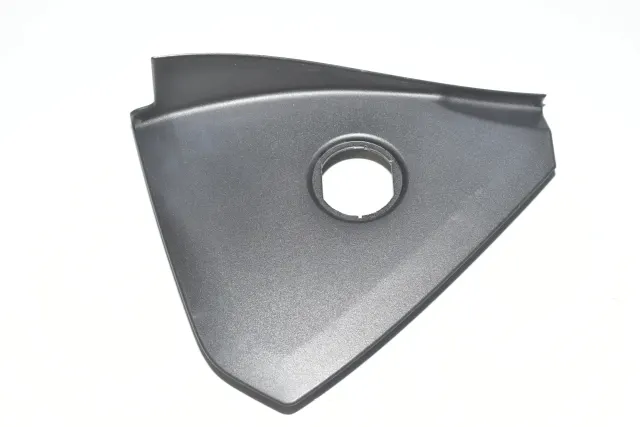 Dashboard Trim