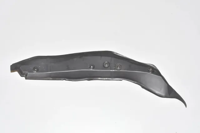 Other Body Parts