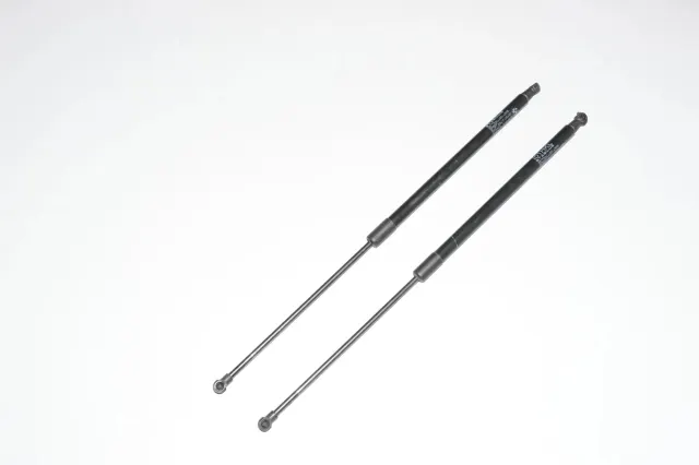 Right Side Tailgate Gas Strut