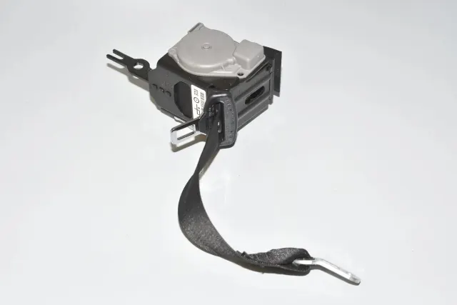 Rear Right Seatbelt