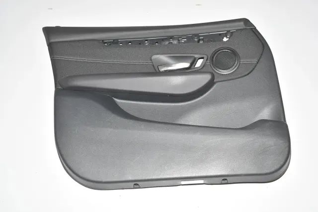 Front Left Door Panel
