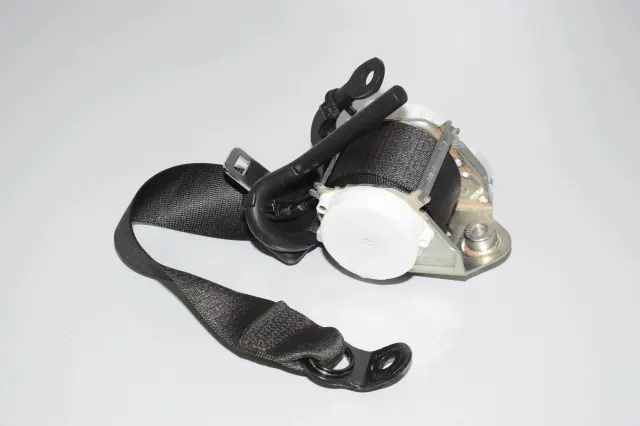 Rear Left Seatbelt