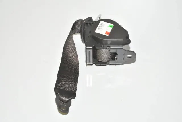 Rear Left Seatbelt