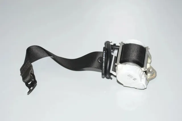 Rear Right Seatbelt