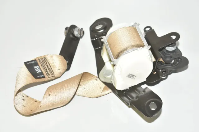 Rear Left Seatbelt