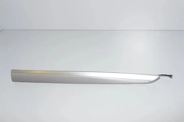 Rear Left Door Panel Trim