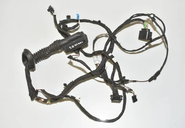 Rear Left Door Wiring