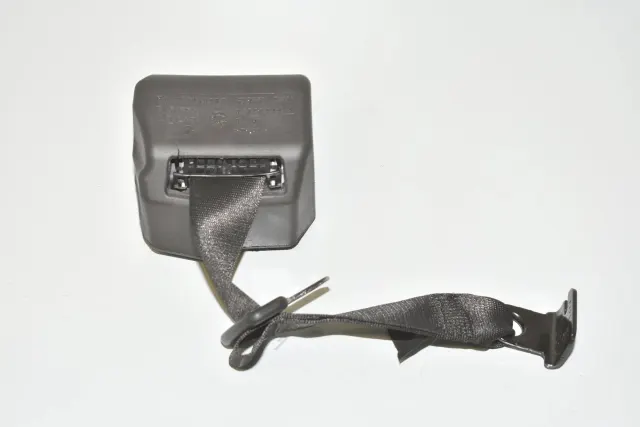 Rear Left Seatbelt