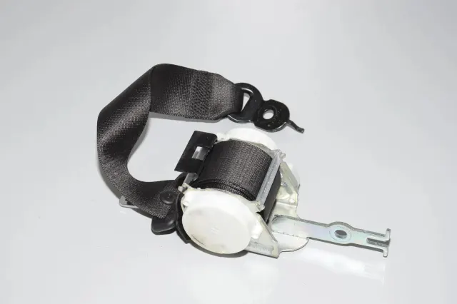 Rear Left Seatbelt