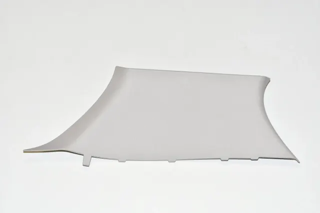 Rear Left Pillar Trim