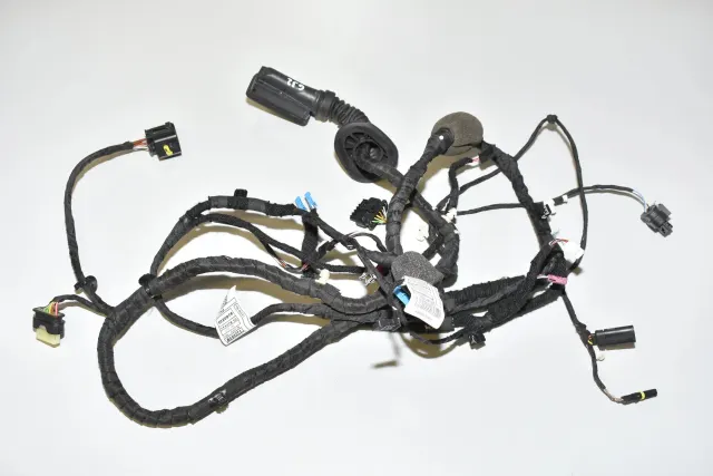 Rear Right Door Wiring