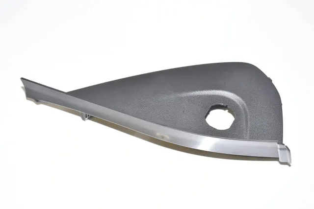 Dashboard Trim