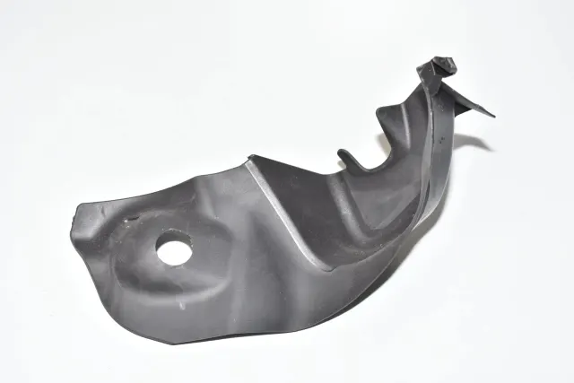 Other Body Parts