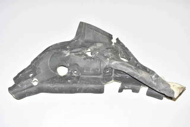 Other Body Parts