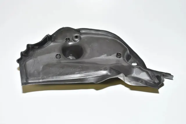 Other Body Parts
