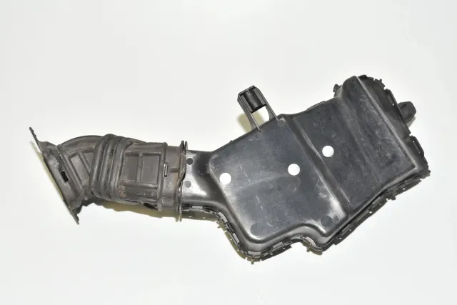 Other Body Parts