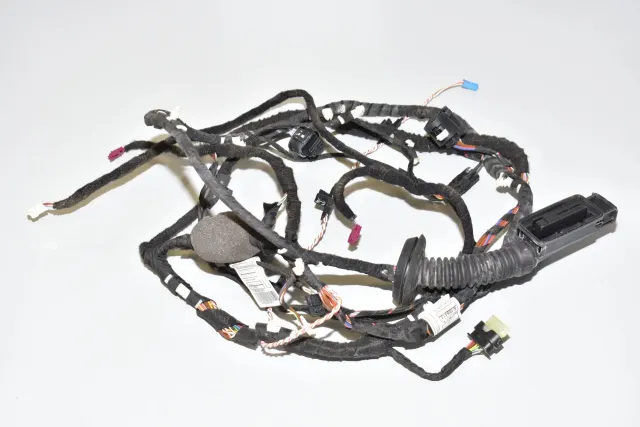 Rear Left Door Wiring