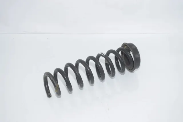 Rear Left Coil Spring