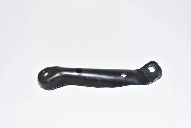 Other Body Parts