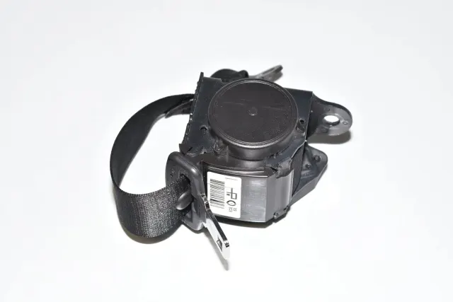 Rear Right Seatbelt