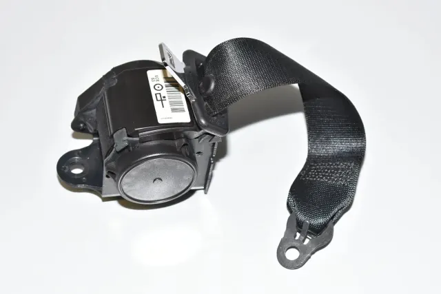 Rear Left Seatbelt