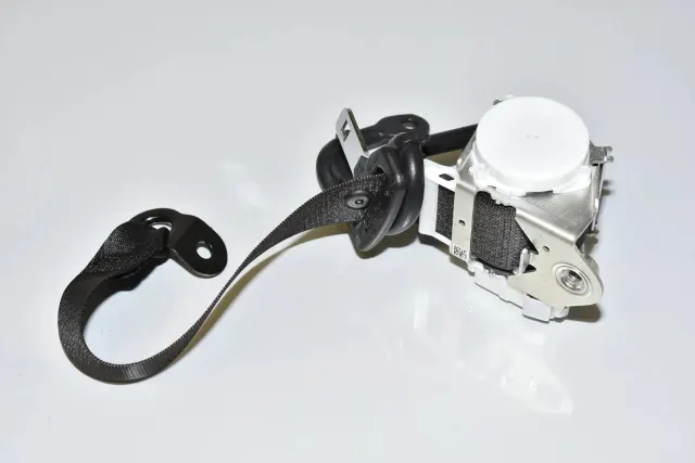 Rear Left Seatbelt