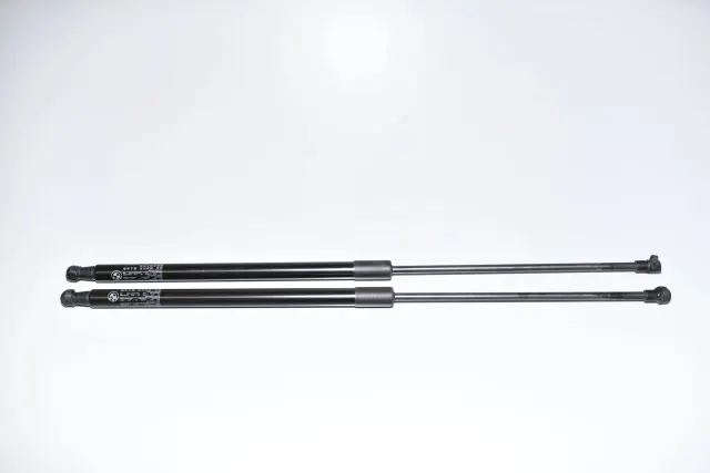 Right Side Tailgate Gas Strut