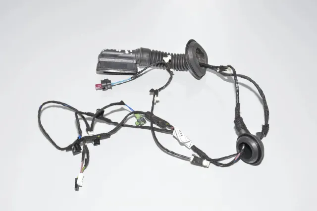 Rear Left Door Wiring