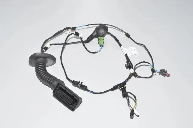 Rear Right Door Wiring
