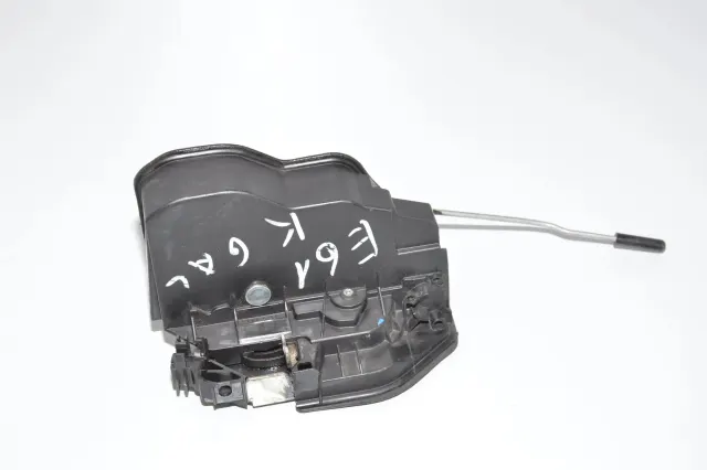 Rear Left Door Lock