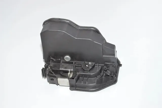 Rear Left Door Lock