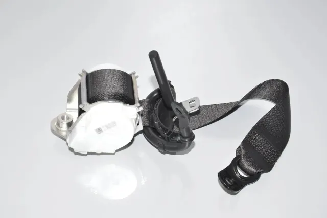 Rear Left Seatbelt