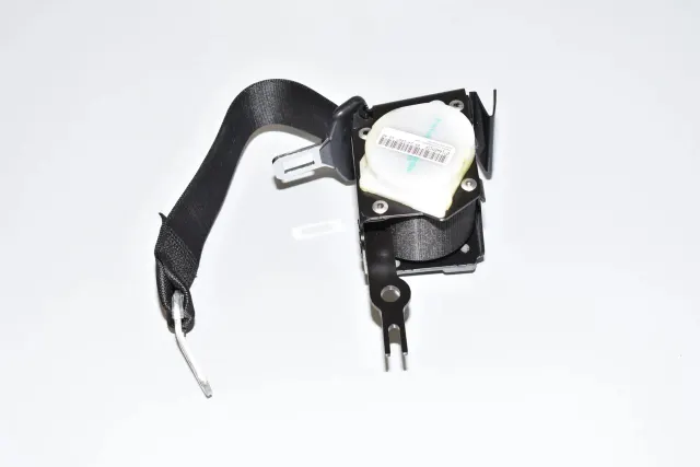 Rear Left Seatbelt